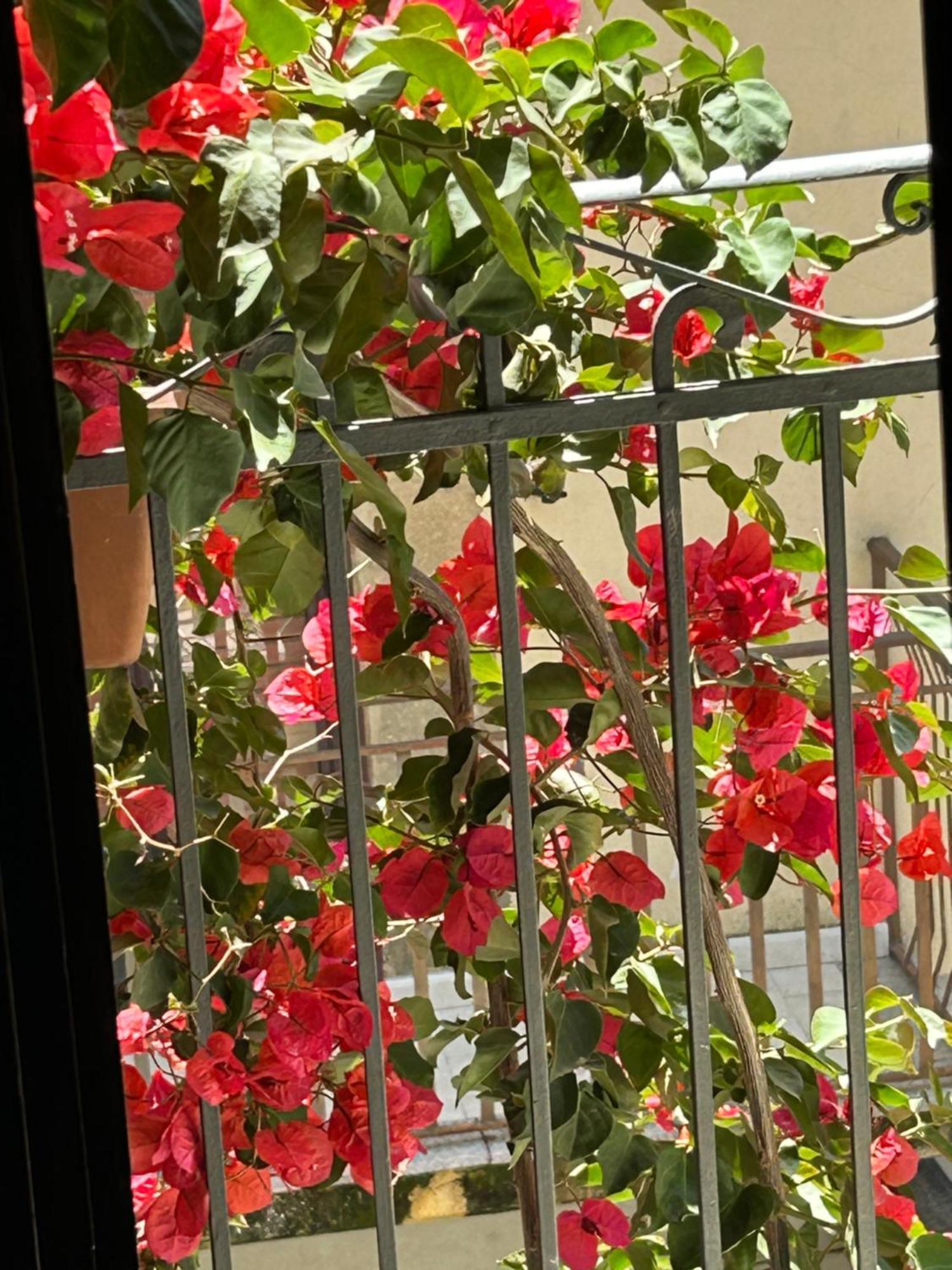 B&B L'Angolo Sulla Piazza Mirabella Imbaccari Εξωτερικό φωτογραφία